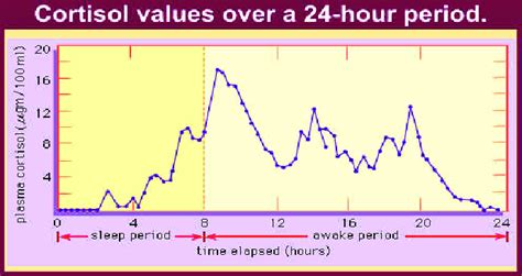 cortisol blood test bottle|24 hour cortisol levels.